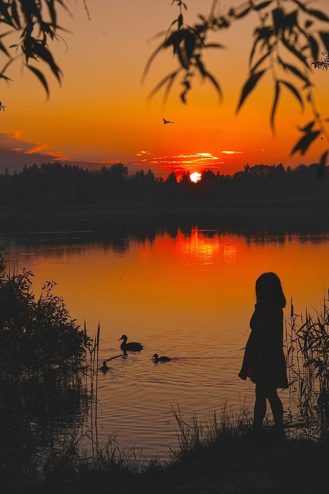 Photograph by Юлия Честнова