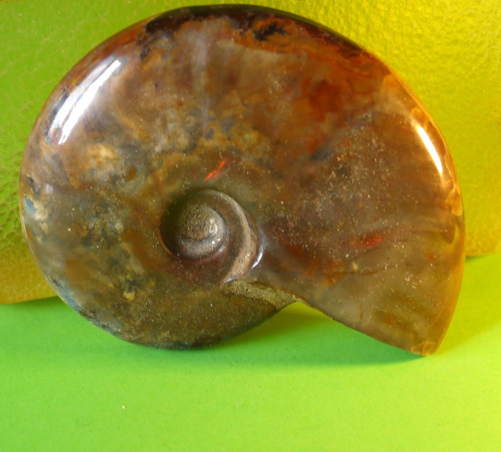 Photograph by Володимир Федишин