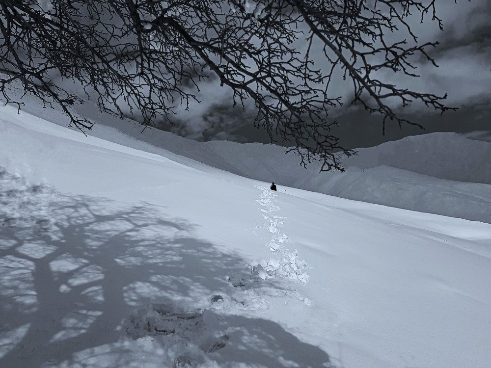 Photograph by Mohammadzaher Mohyadini