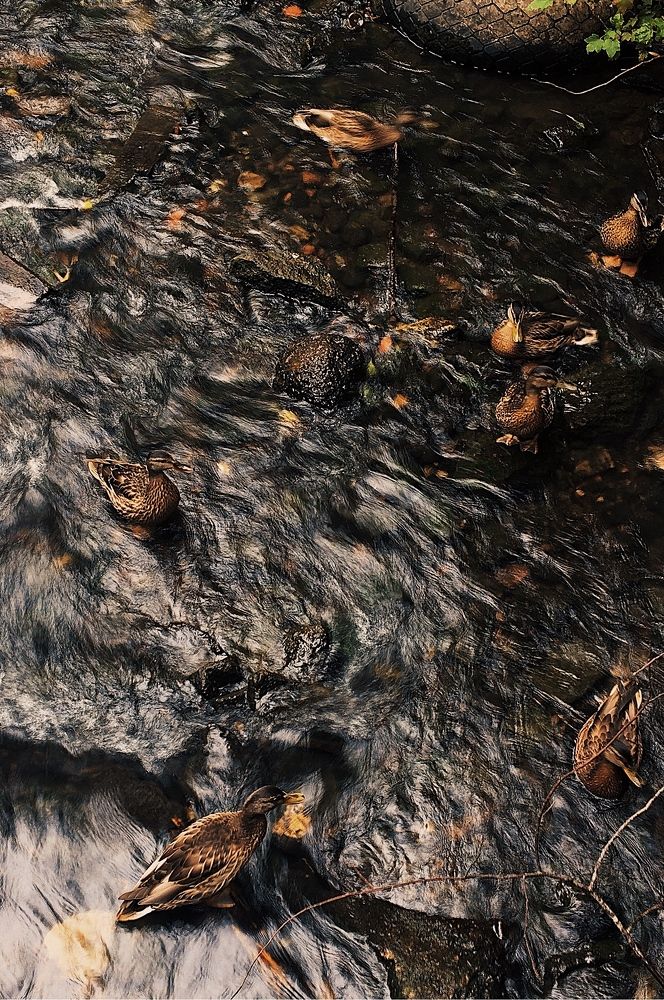 Photograph by Гребёнкина Ирина