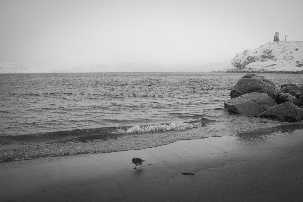 Photograph by Марина Шумакова