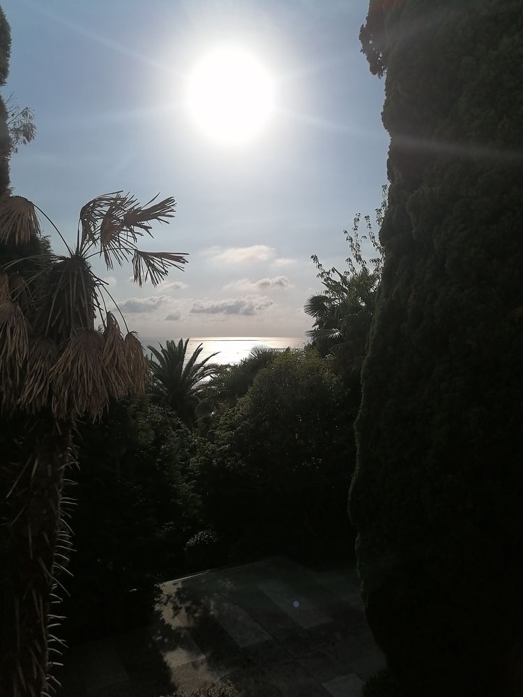 Photograph by Елена Степанкина