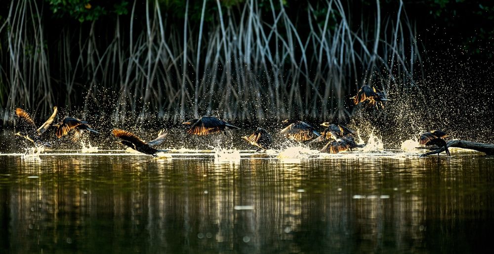 Photograph by Ricardo Ubico