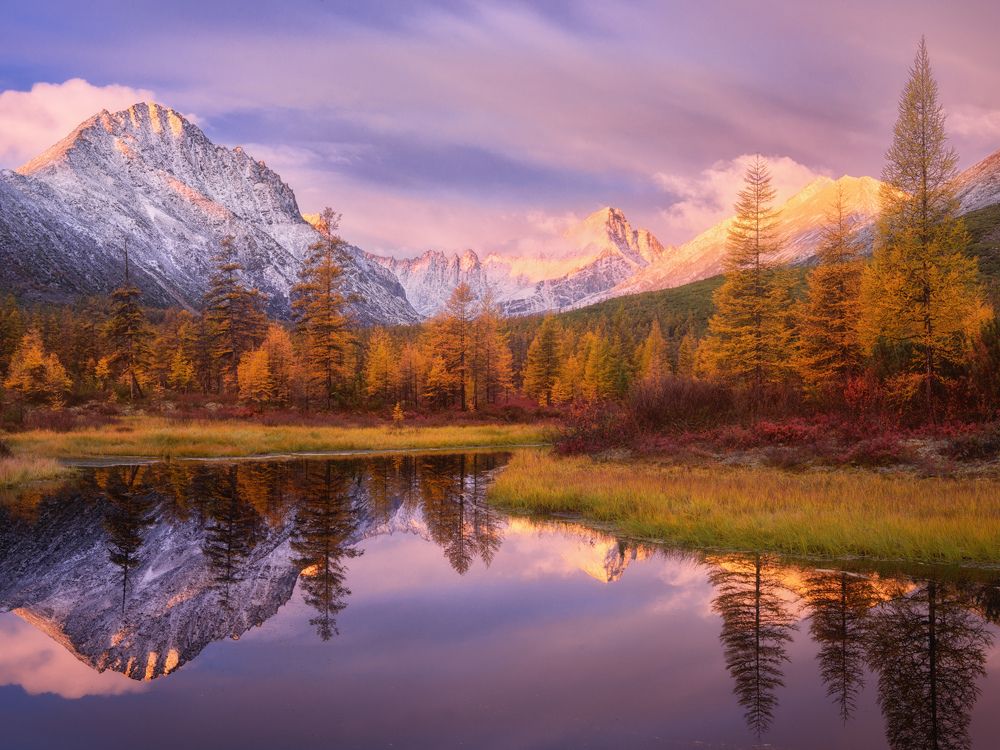 Фотография автора Дмитрий Медянцев