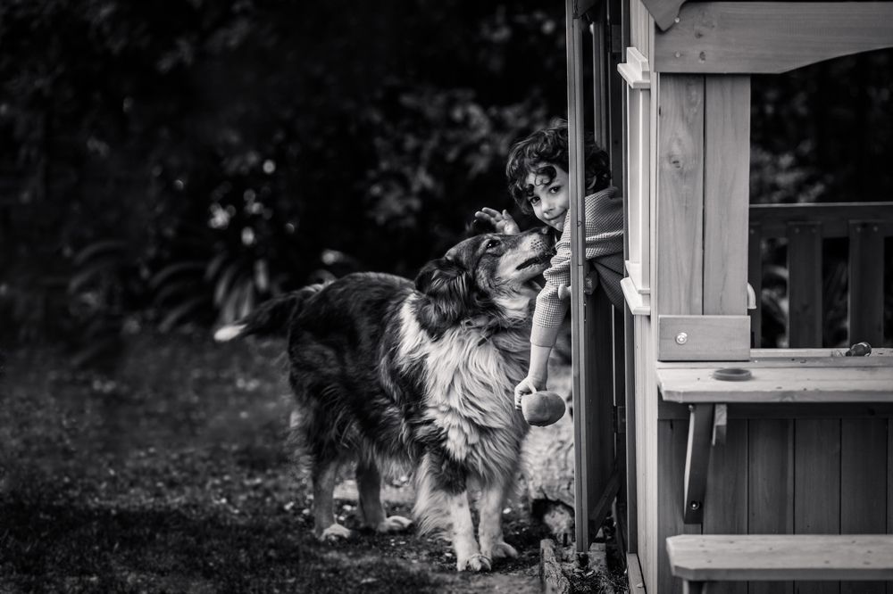 Photograph by Katherine Strauss