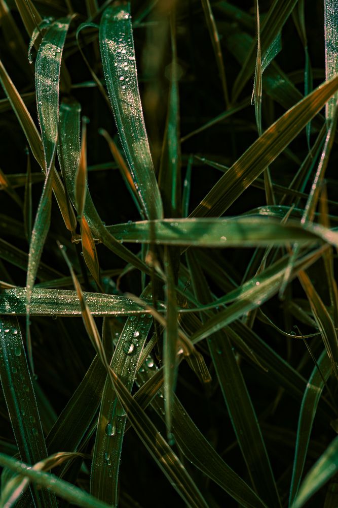 Photograph by Анастасия Хованская