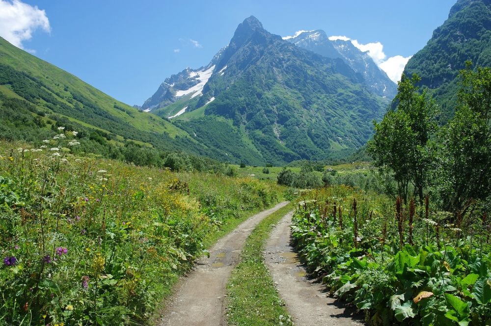 Photograph by Ирина Дронова