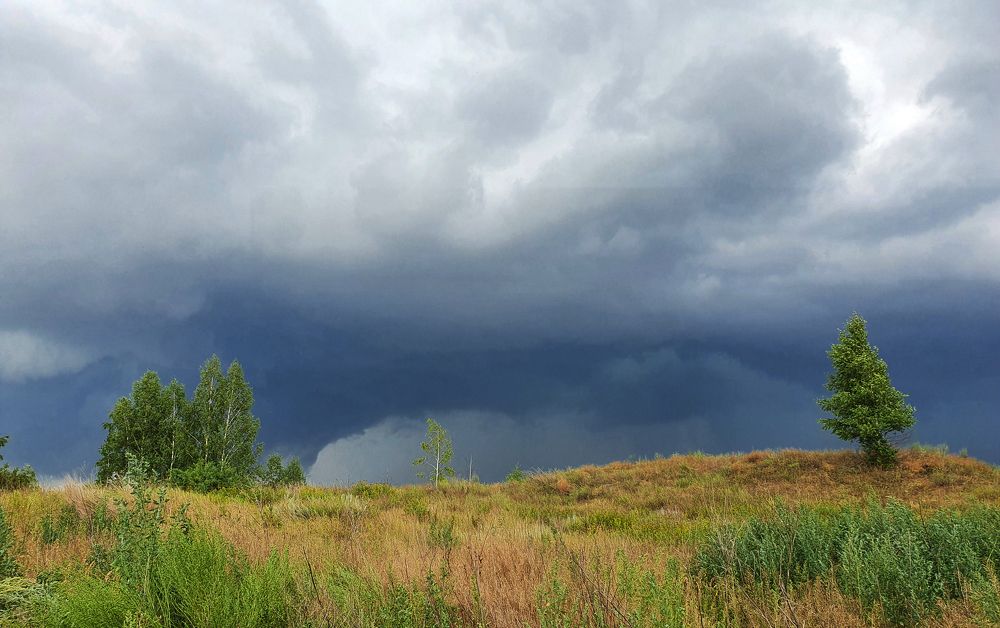 Фотография автора Надежда Лисицына