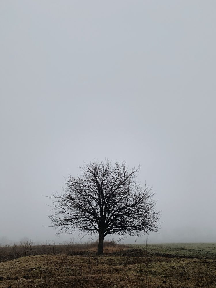 Photograph by Павел Тищенко