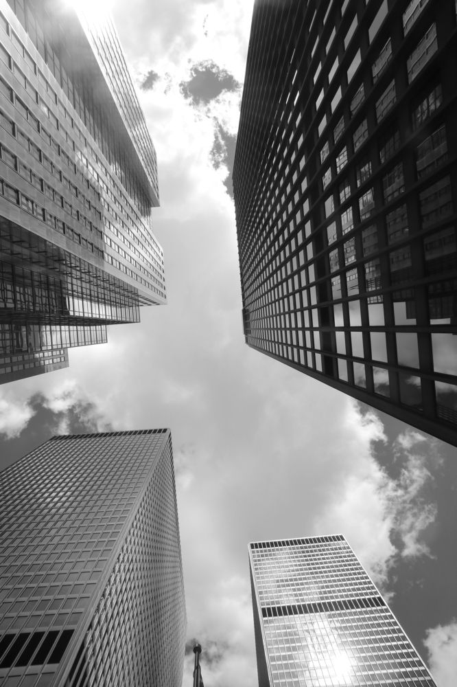 Photograph by Patricia Delionardis