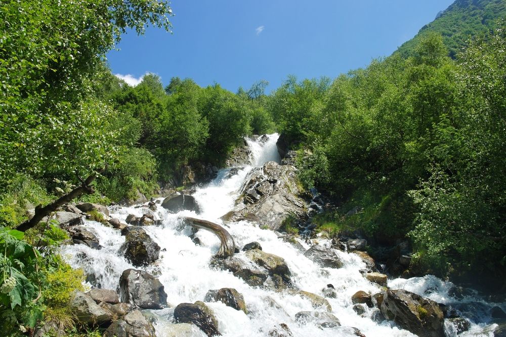 Photograph by Ирина Дронова