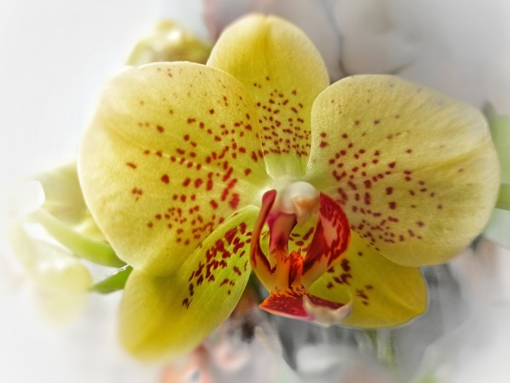 Photograph by Сергей Жигульский