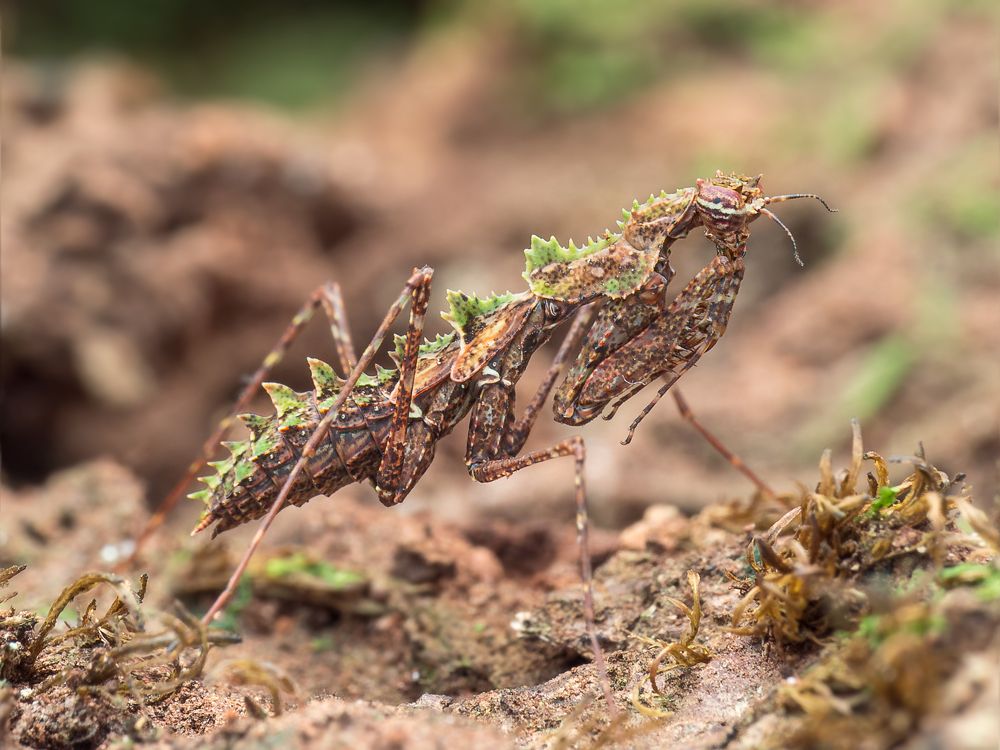 Photograph by Alstein Lai