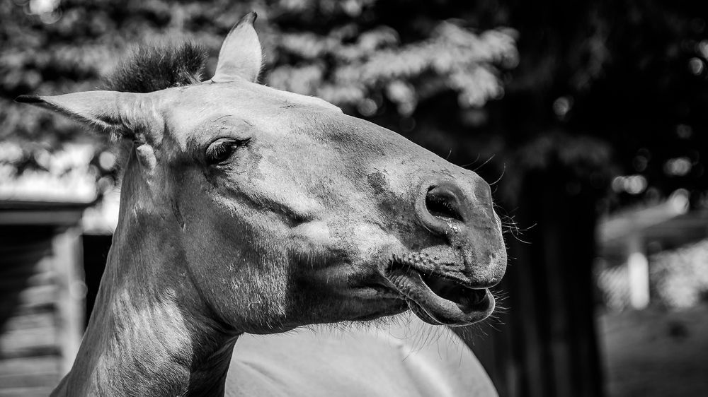 Фотография автора Владимир Брызгунов