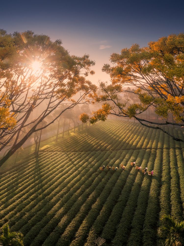 Photograph by Cao Ky Nhan