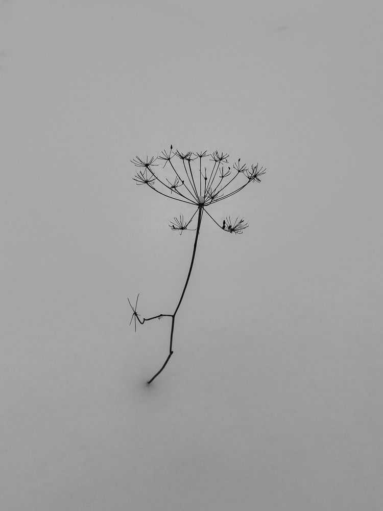 Photograph by Марина Урусова