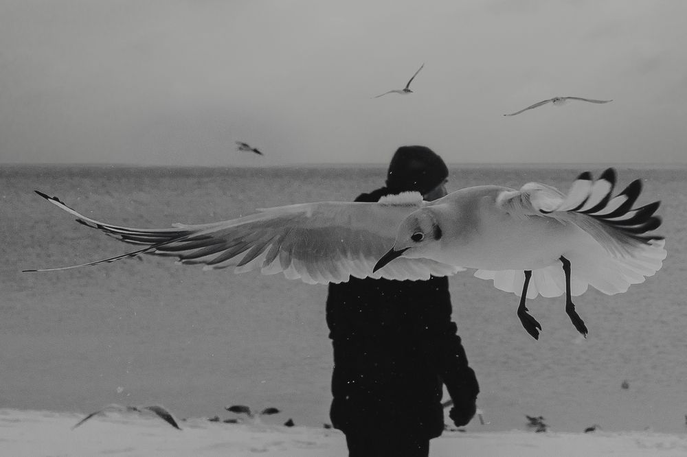 Photograph by Анна Шац