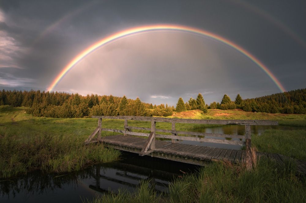 Photograph by Luboš Prchal