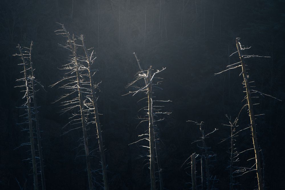 Photograph by Luboš Prchal