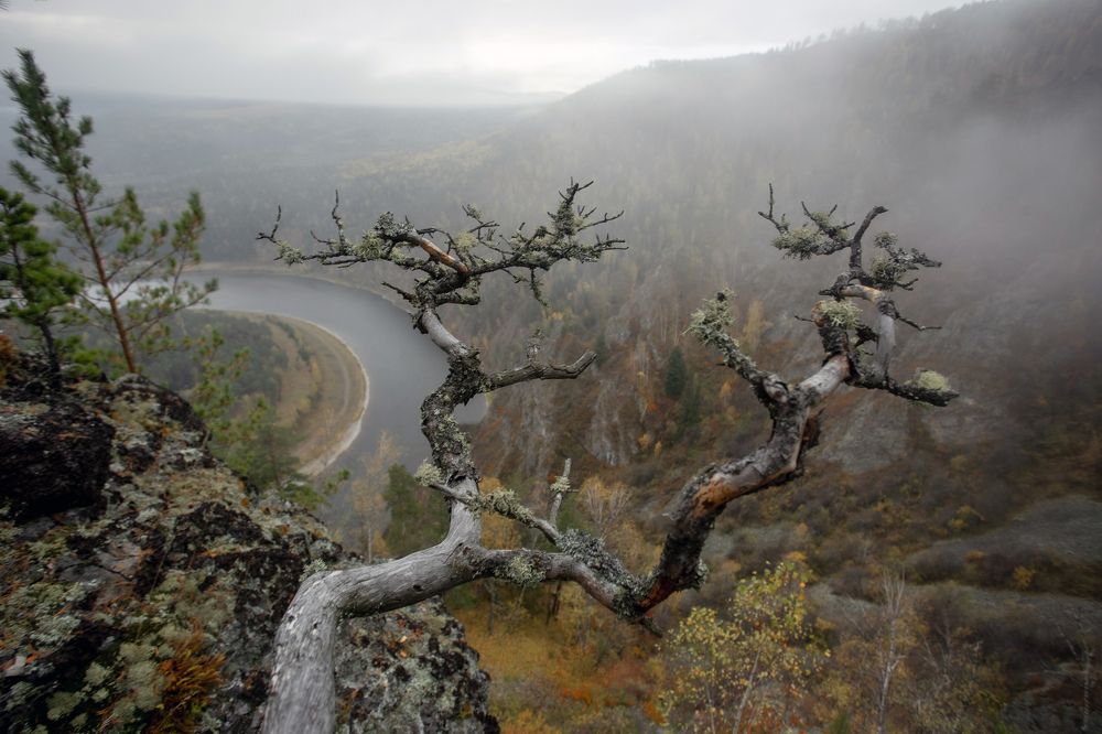 Photograph by Александр Нерозя