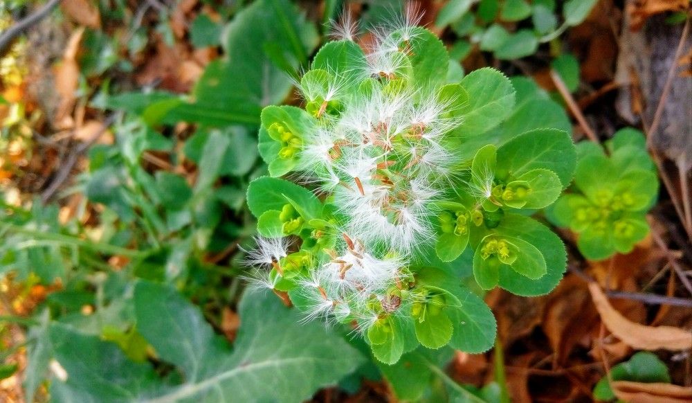 Photograph by Muhammad Fahad Bashir