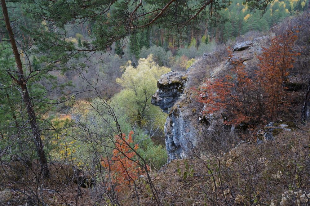 Photograph by Наталья Маслова