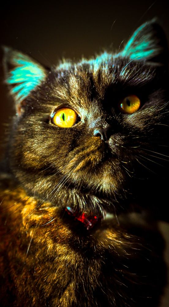 Photograph by Дмитрий Бровко