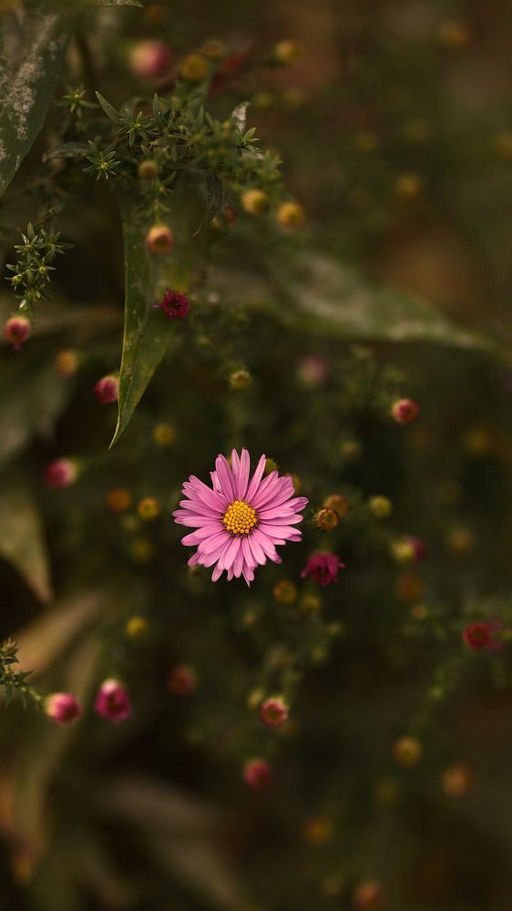 Photograph by Елена Одынец