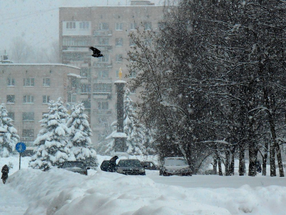 Тихвин. Зима в городе