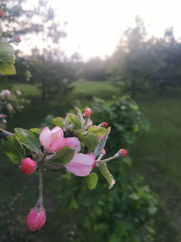 Photograph by Валентина
