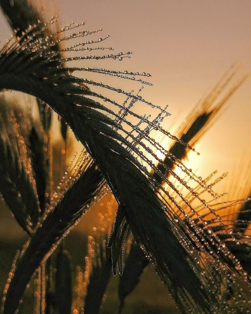 Photograph by Виктор Шубин