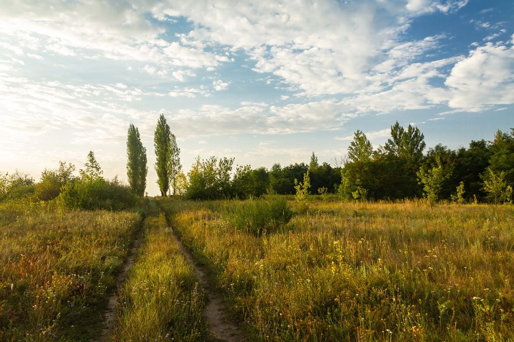 Photograph by Алексей
