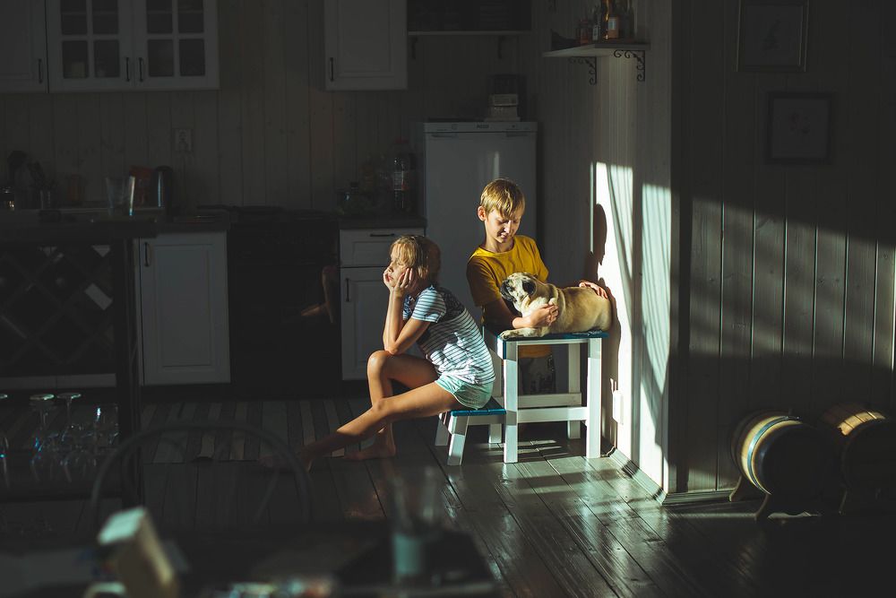 Солнце заглянуло