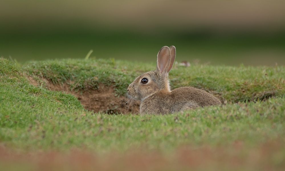 Фотография автора MARIA KULA