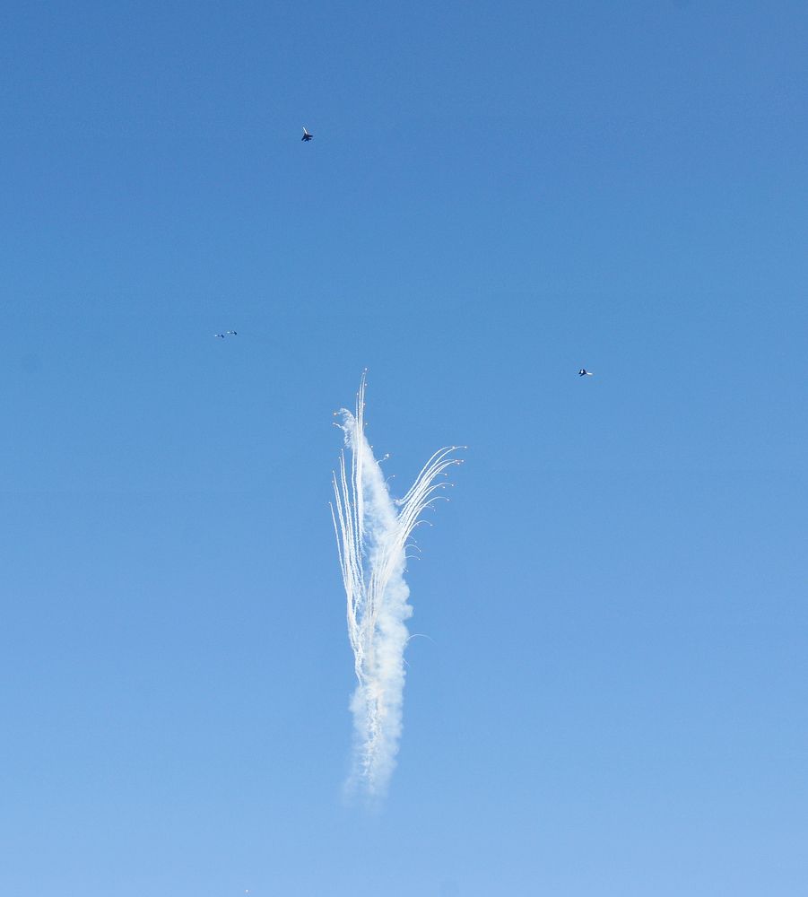 group Vityazi - "tulip"