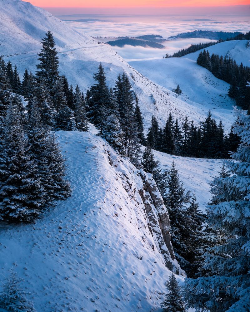 Photograph by Alexandru Handrache