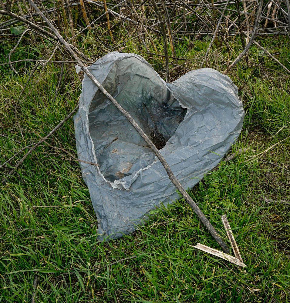 Photograph by Ави Христова