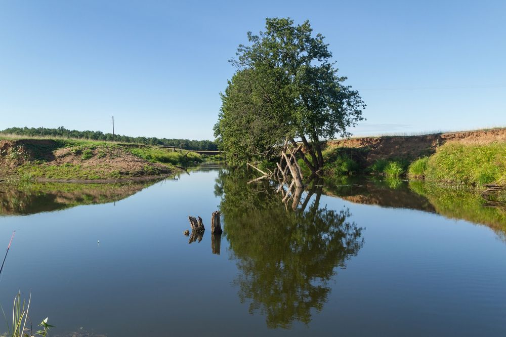 Photograph by Алексей