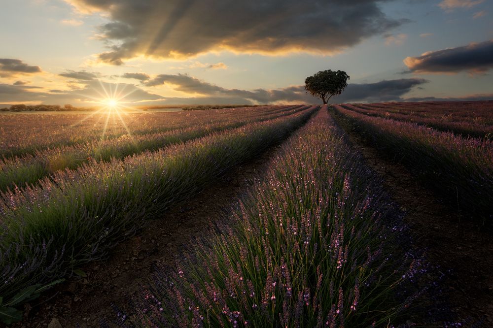 Photograph by Unai Larraya