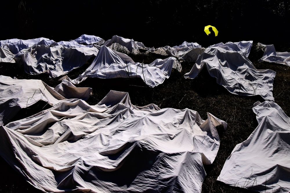 Photograph by Deepbrata Dutta