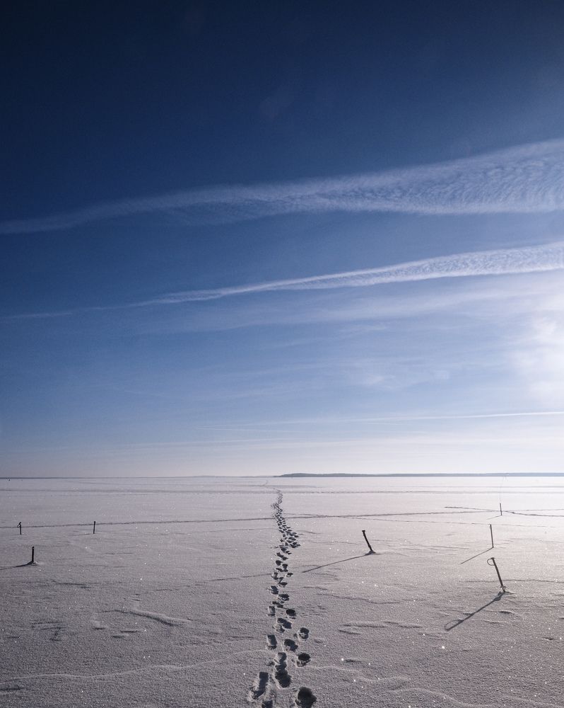 Photograph by Ольга Еженевская