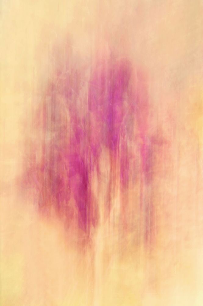 Photograph by Eunman Huh