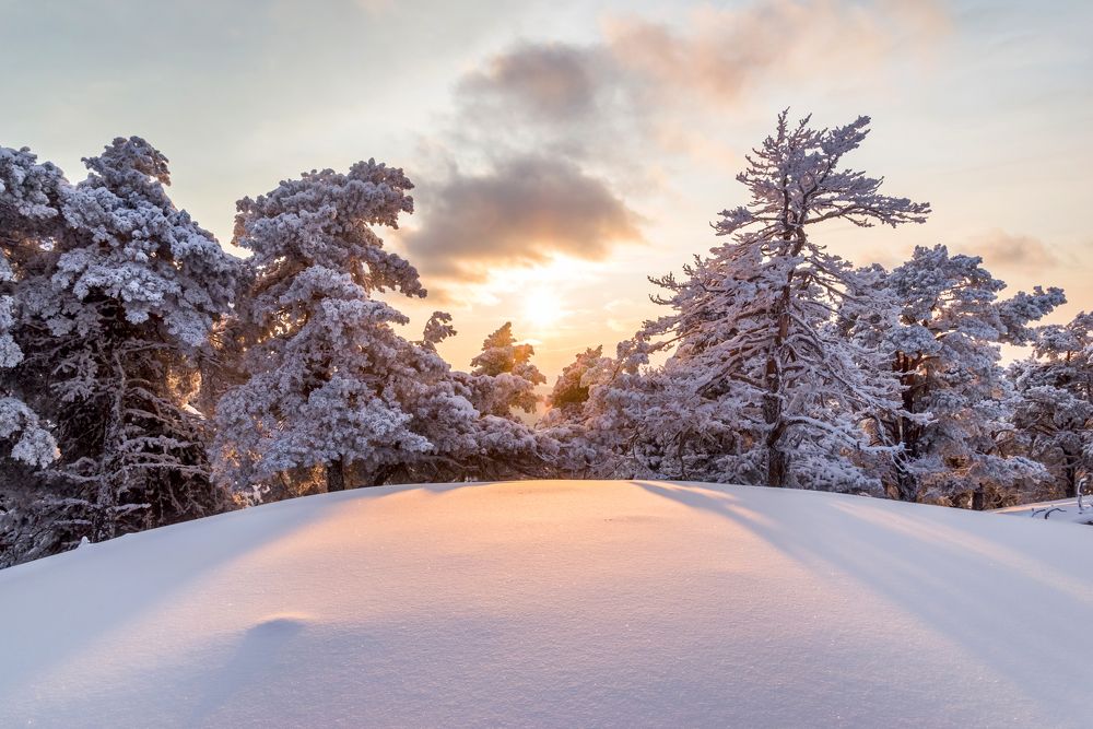 Photograph by Полякова Александра