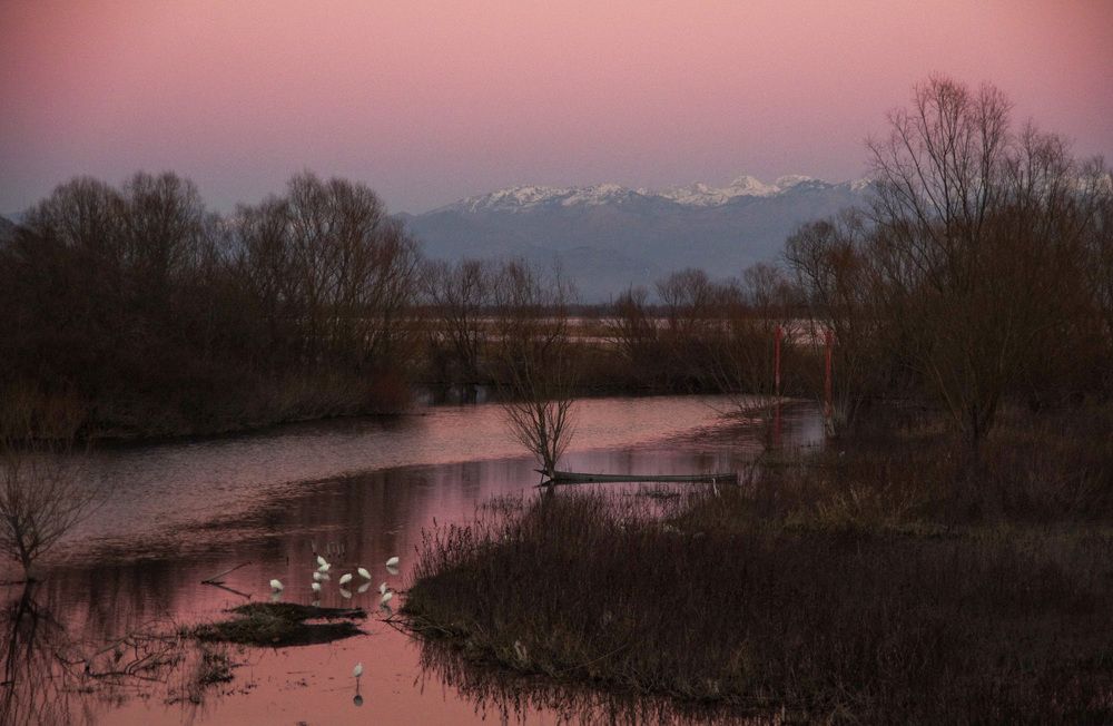 Photograph by Елена Агапкина