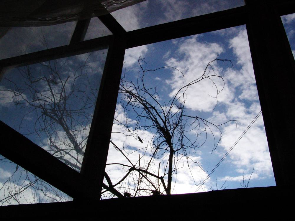 Photograph by Игорь Лобанов