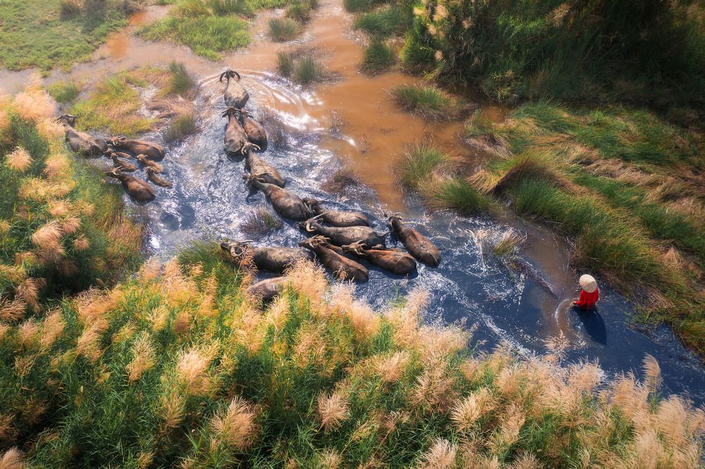 Photograph by Cao Ky Nhan