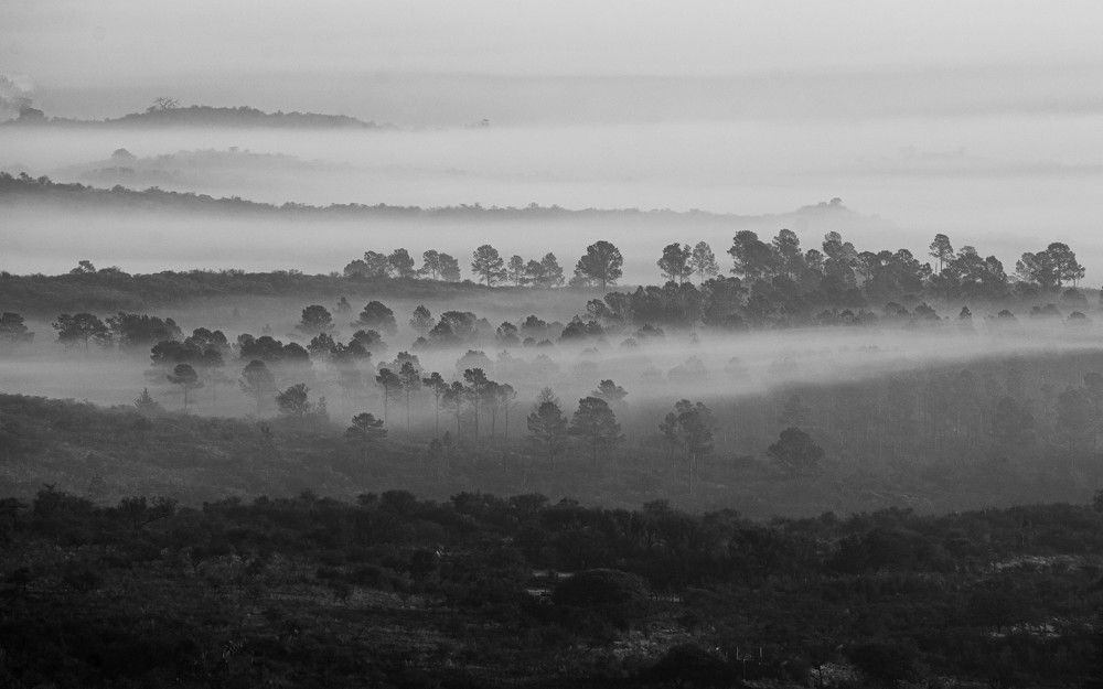 Photograph by Marcelo Giorgi