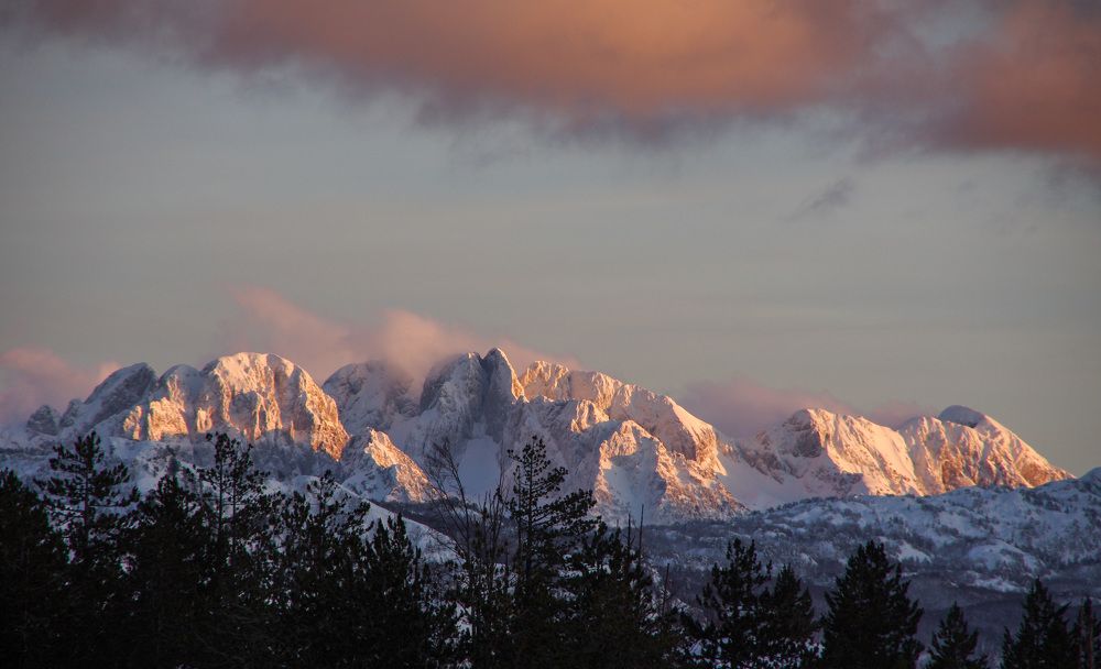 Photograph by Елена Агапкина