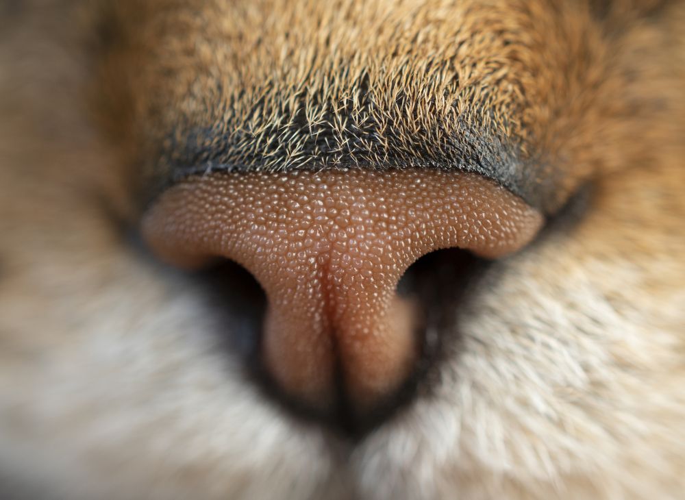 Photograph by Elena Lopatina