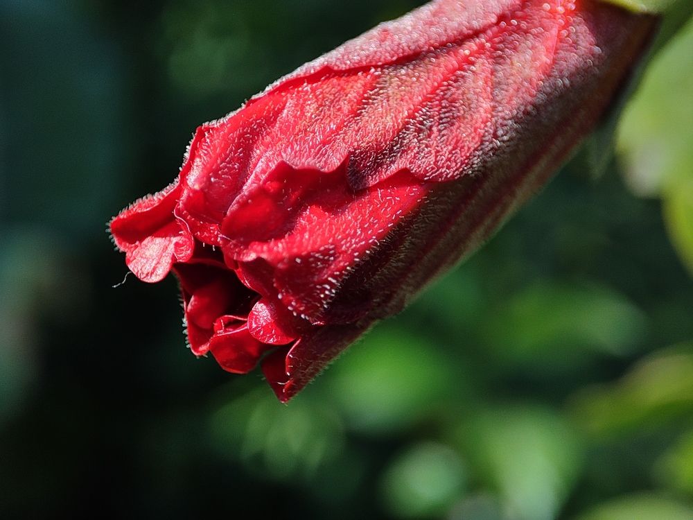Photograph by Ajit Surin